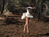 woods